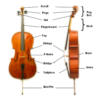 cello-map